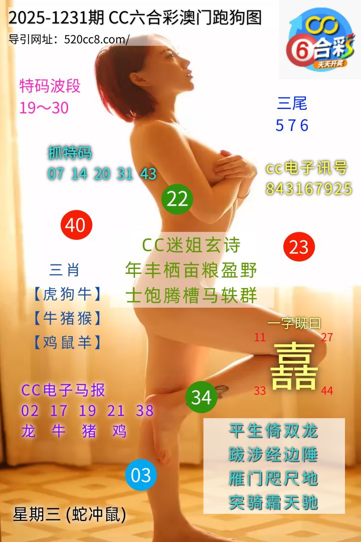 CC六合澳门跑马图1231期