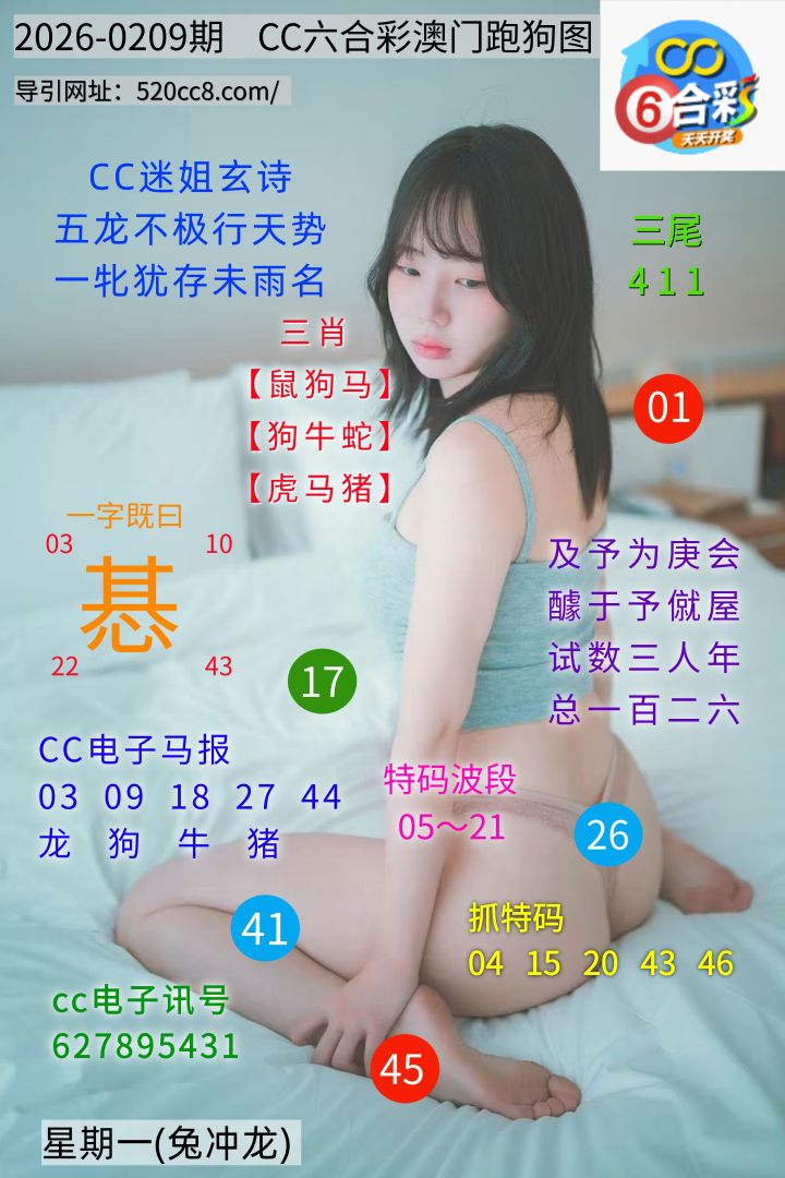 CC六合澳门跑马图0209期