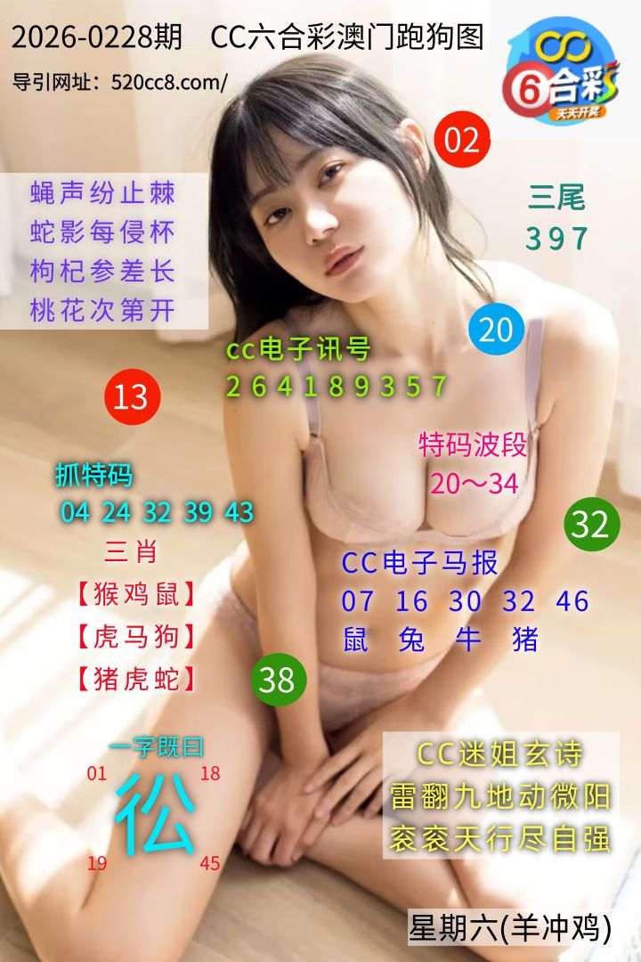 CC六合澳门跑马图0228期