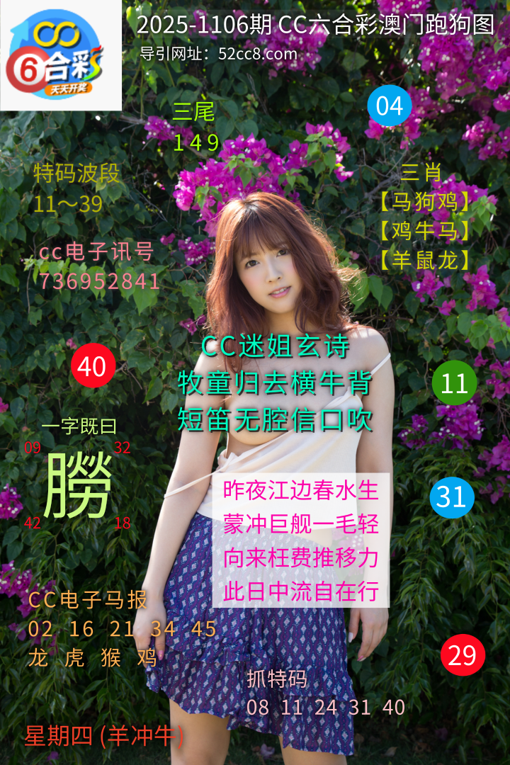 CC六合澳门跑马图1106期